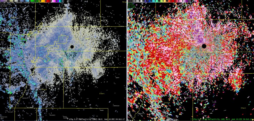 Hay tantas mariposas en Denver que aparecieron en el radar